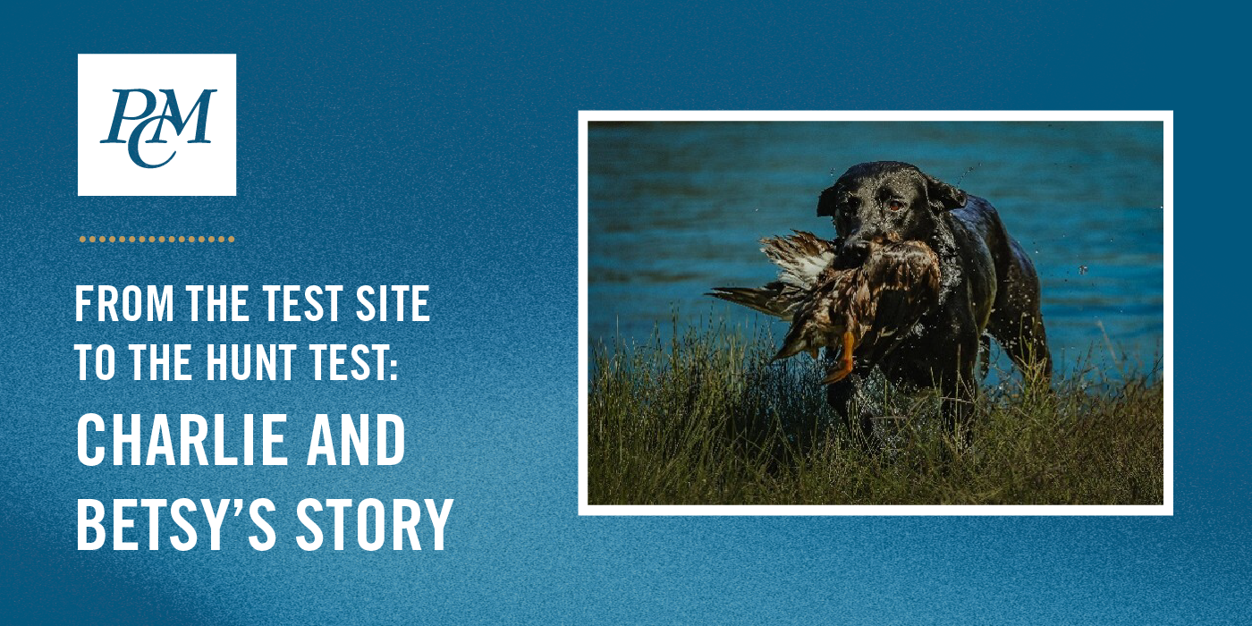 From the Test Site to the Hunt Test: Charlie and Betsy’s Story